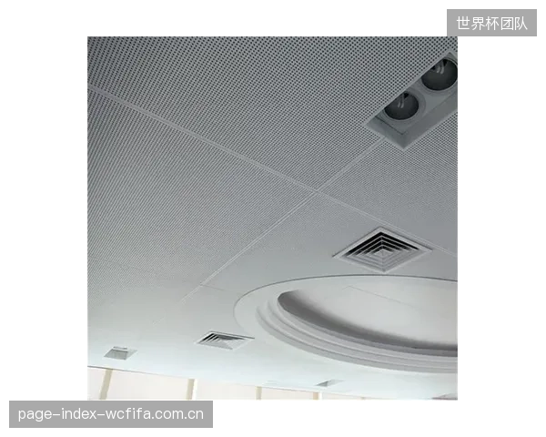 体育馆声学设计的下一个主战场：针对125Hz以下低频的精准管理，将催生穿孔铝板与柔性薄膜的复合型声学材料